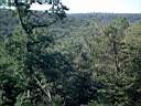 Beautiful view in Tamansky forest, Stavropol