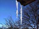 Icicles on the roof of our house